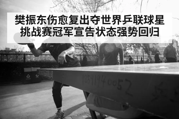 樊振东伤愈复出夺世界乒联球星挑战赛冠军宣告状态强势回归